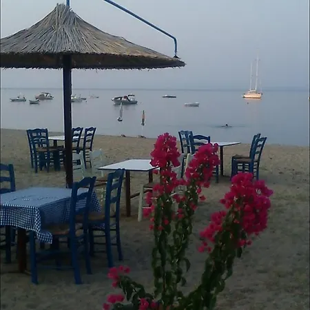 Dafni's 50 Meters From The Beach * Gerakini