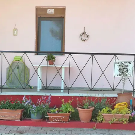 Dafni's 50 Meters From The Beach Apartment Gerakini