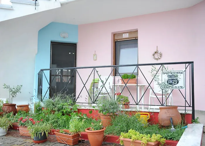 Dafni's 50 Meters From The Gerakini