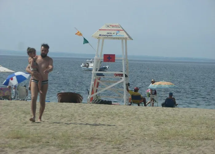 Dafni's 50 Meters From The *