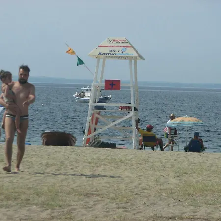 Dafni's 50 Meters From The *